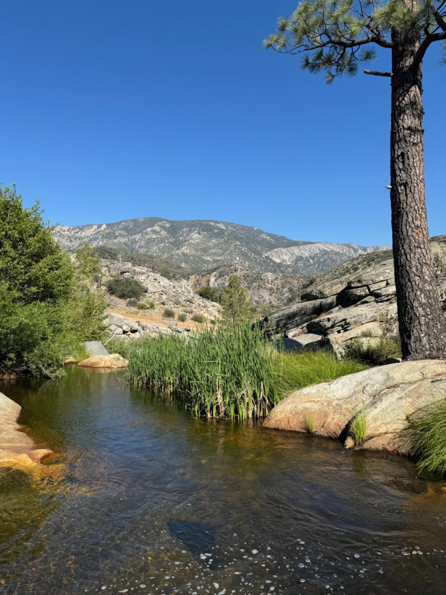 PonderosaPeppermint Falls Ranch别墅 外观 照片